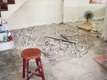 ปลวก.. สู่การเปลี่ยนโฉมพื้นบ้าน(อายุกว่า 20 ปี) ปลวก.. สู่การเปลี่ยนโฉมพื้นบ้าน(อายุกว่า 20 ปี)